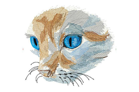 A Cat Design That Connects: The Deep Blue Eyes Review