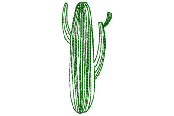 Lined Cactus Outline: A Design Review for Business Merch